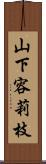 山下容莉枝 Scroll