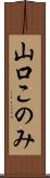 山口このみ Scroll