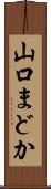山口まどか Scroll