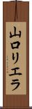 山口リエラ Scroll