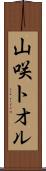 山咲トオル Scroll
