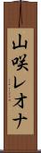 山咲レオナ Scroll