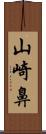 山崎鼻 Scroll
