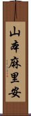 山本麻里安 Scroll