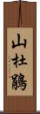 山杜鵑 Scroll