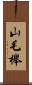 山毛櫸 Scroll