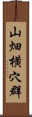 山畑横穴群 Scroll