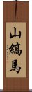 山縞馬 Scroll