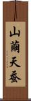 山繭 Scroll