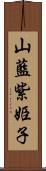 山藍紫姫子 Scroll