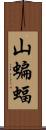 山蝙蝠 Scroll