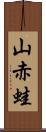 山赤蛙 Scroll