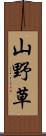 山野草 Scroll