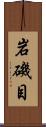岩磯目 Scroll