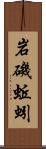 岩磯蚯蚓 Scroll