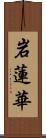 岩蓮華 Scroll