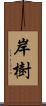 岸樹 Scroll