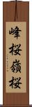 峰桜 Scroll