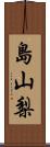 島山梨 Scroll