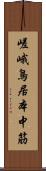 嵯峨鳥居本中筋 Scroll