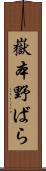 嶽本野ばら Scroll