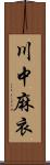 川中麻衣 Scroll