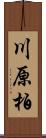 川原柏 Scroll