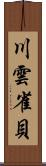 川雲雀貝 Scroll