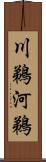 川鵜 Scroll