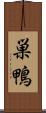 巣鴨 Scroll