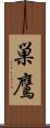 巣鷹 Scroll