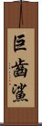 巨齒鯊 Scroll