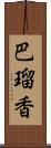 巴瑠香 Scroll