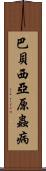 巴貝西亞原蟲病 Scroll