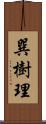 巽樹理 Scroll