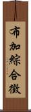 布加綜合徵 Scroll