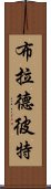 布拉德·彼特 Scroll