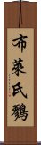 布萊氏鷚 Scroll