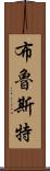 Brewster Scroll