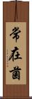 常在菌 Scroll