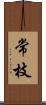 常枝 Scroll