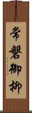 常磐御柳 Scroll