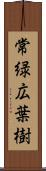 常緑広葉樹 Scroll