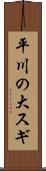 平川の大スギ Scroll