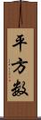 平方数 Scroll