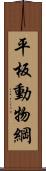 平板動物綱 Scroll