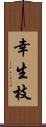 幸生枝 Scroll