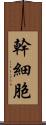 幹細胞 Scroll