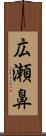 広瀬鼻 Scroll