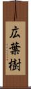 広葉樹 Scroll